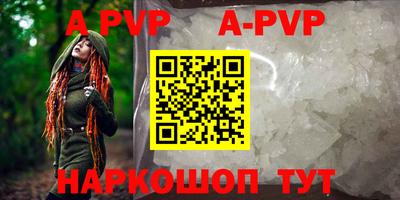 амф Кингисепп