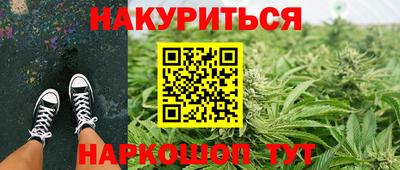 амф Кингисепп