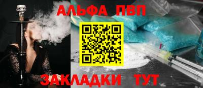 амф Кингисепп