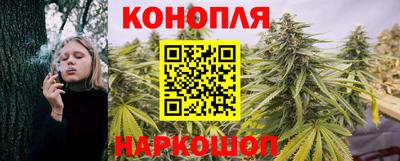 амф Кингисепп