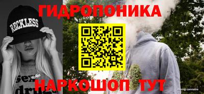 кокс Кимры