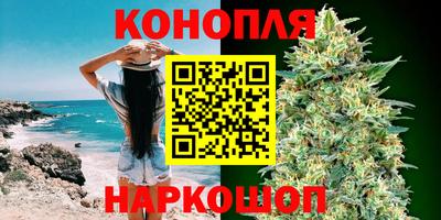 амф Кингисепп