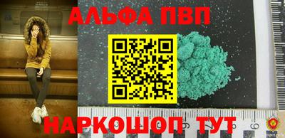 амф Кингисепп