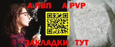 амф Кингисепп