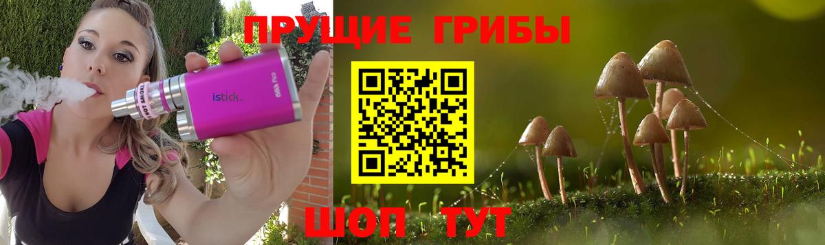 Киселёвск  где продают   Галлюциногенные грибы ЛСД  Вход с VPN  Галлюциногенные грибы мицелий 