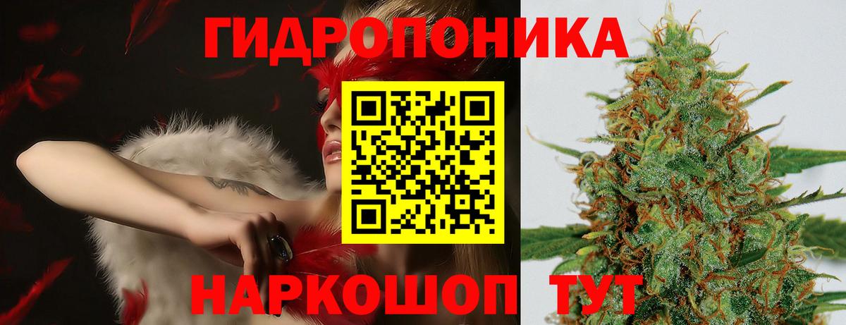 Каннабис планчик  МАРИХУАНА тримм  Киселёвск  Конопля SATIVA & INDICA  Бошки Шишки THC 21%  Вход с VPN 